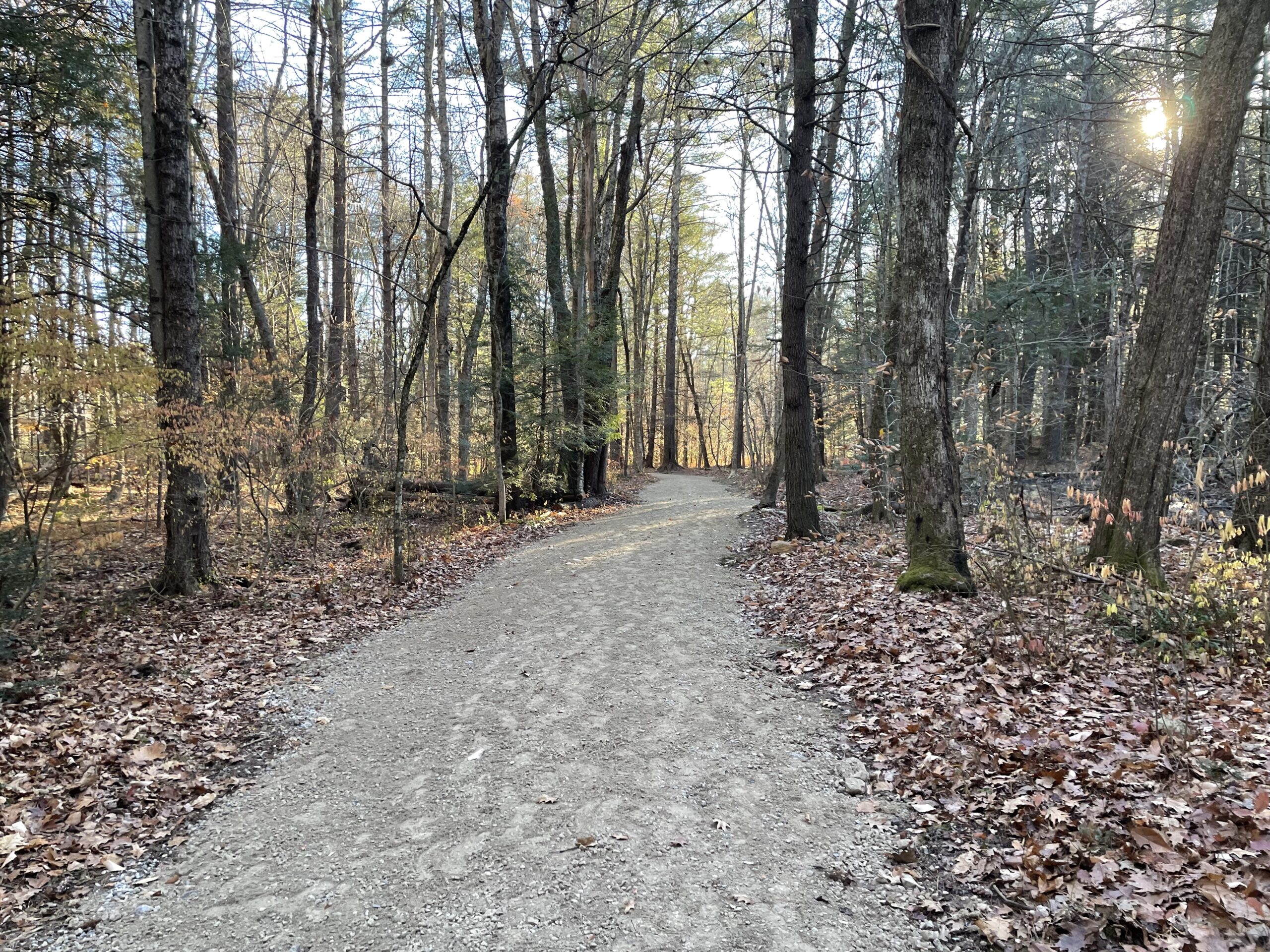 GRAVEL DRIVEWAYS 4 DRIVEWAY REPAIR